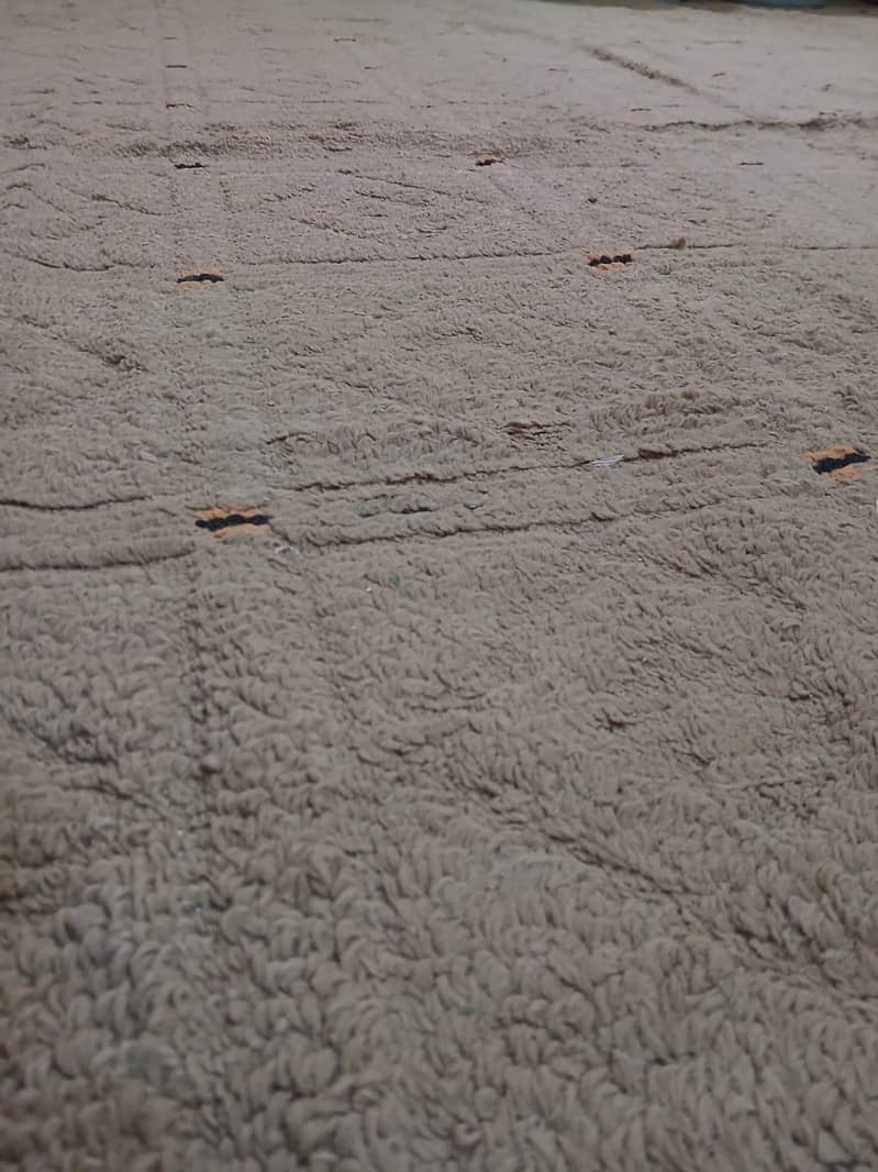 carpet in good condition 2