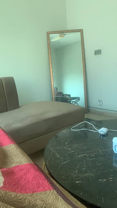 Long mirror for sale