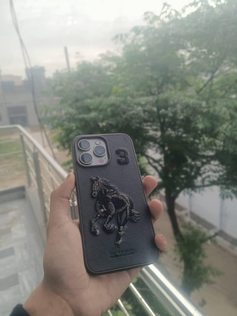 15 pro max (256gb) 5