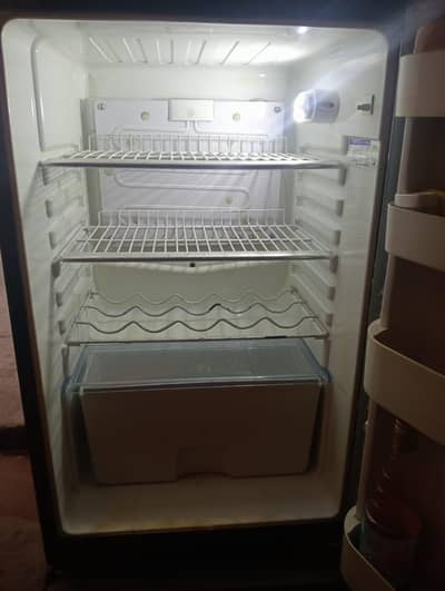 Orient Medium Size Neat and Clean