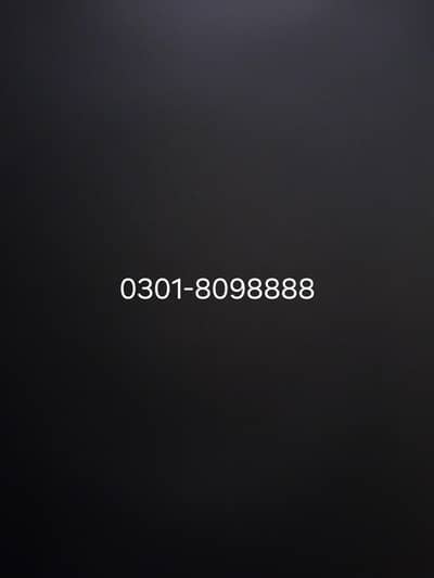 Golden Number Jazz Sim 0301-8098888