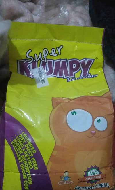 Rare Turkish Khao Manee Mix - Stunning Sapphire Blue Eyes + Full Kit