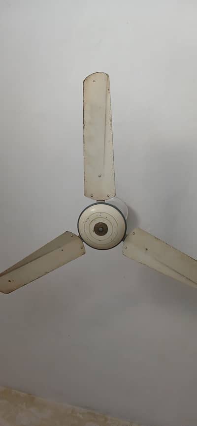 Fan for sale