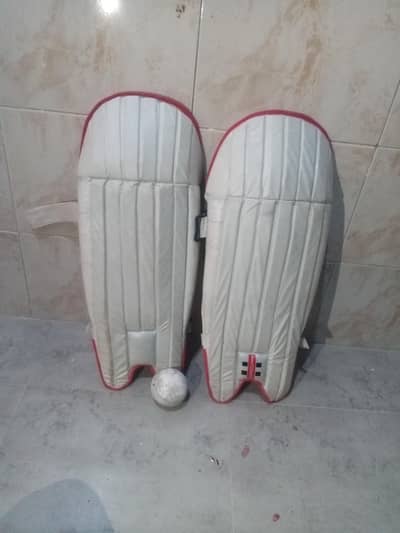 cricket pads[medium size] pads two balls free urgent sale order now