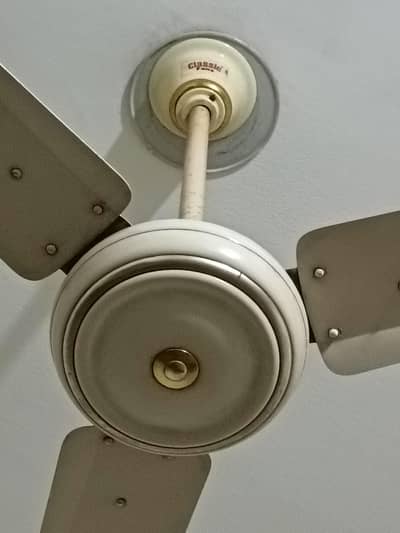 classic fan paur  coper