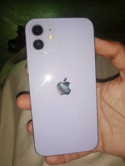 Iphone 12 for sale water pack condition 10 by 10
