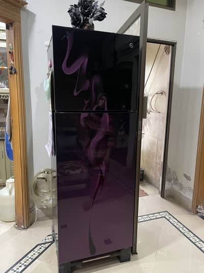 Pel frigh glass door 10 10 condition