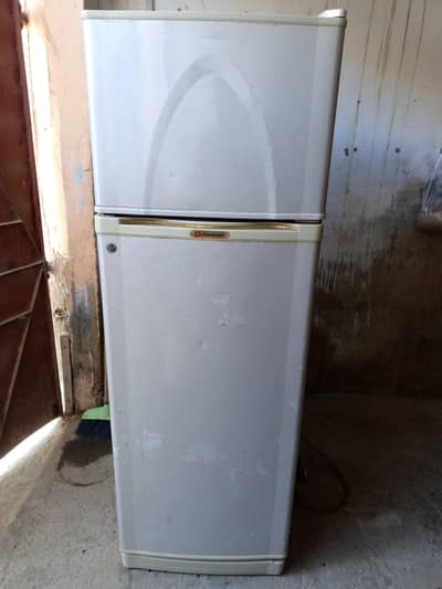 contact num 03131194867