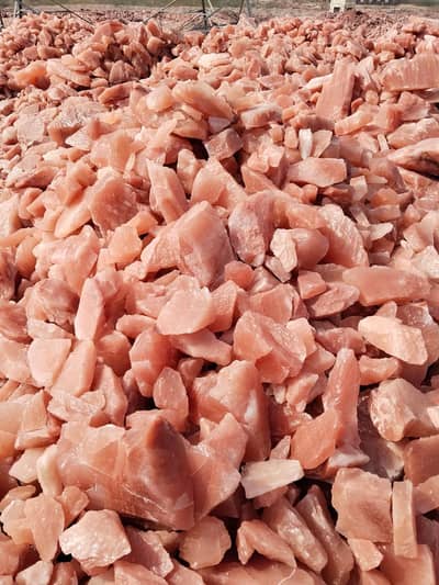 Order Booker Required for Salt In Hassan Abdal / Wah