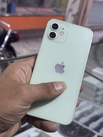 I phone 12 pta approved