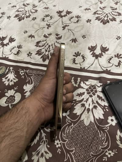 12 pro max PTA approved 256gb