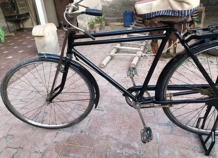 Sohrab bicycle 24 1