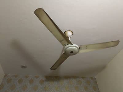 pak fan ka fan