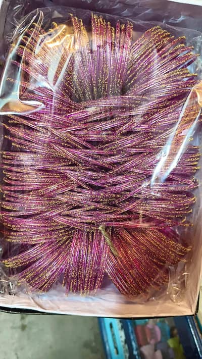 Elegant Women’s Bangles Set – Stylish & Trendy Wrist Jewelry