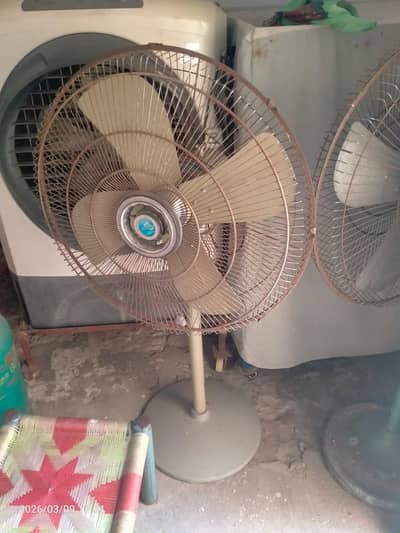 fan for sale