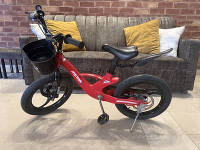 Solid Aluminum Frame Cycle For Kids (4 To 11 Years)