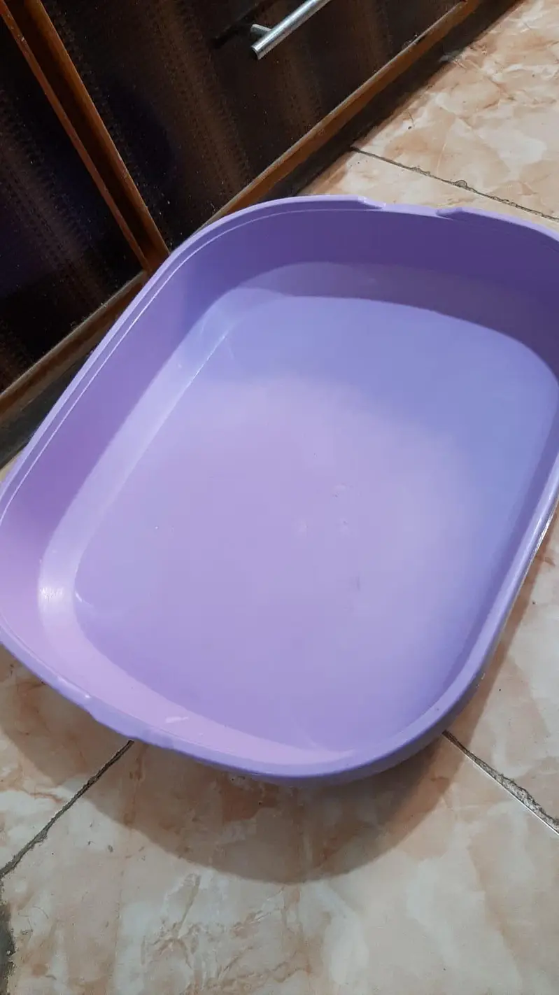 Cat Litter Tray / Litter Box – Like New – Urgent Sale – Karachi — photo 4