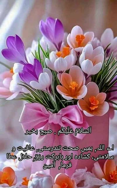 Tayyab Shahid
