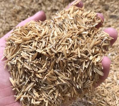 Rice husk bori available.