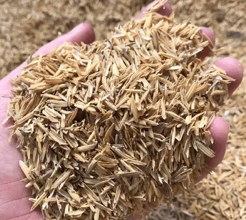 Rice husk bori available.