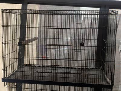 Iron Bird Cages for Sale (Single Portions)
