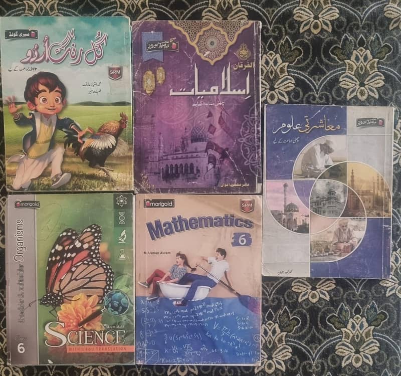 6th Class School Books 0