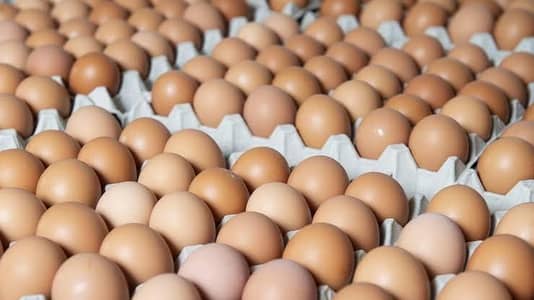 Desi eggs || 100% organic eggs ||
