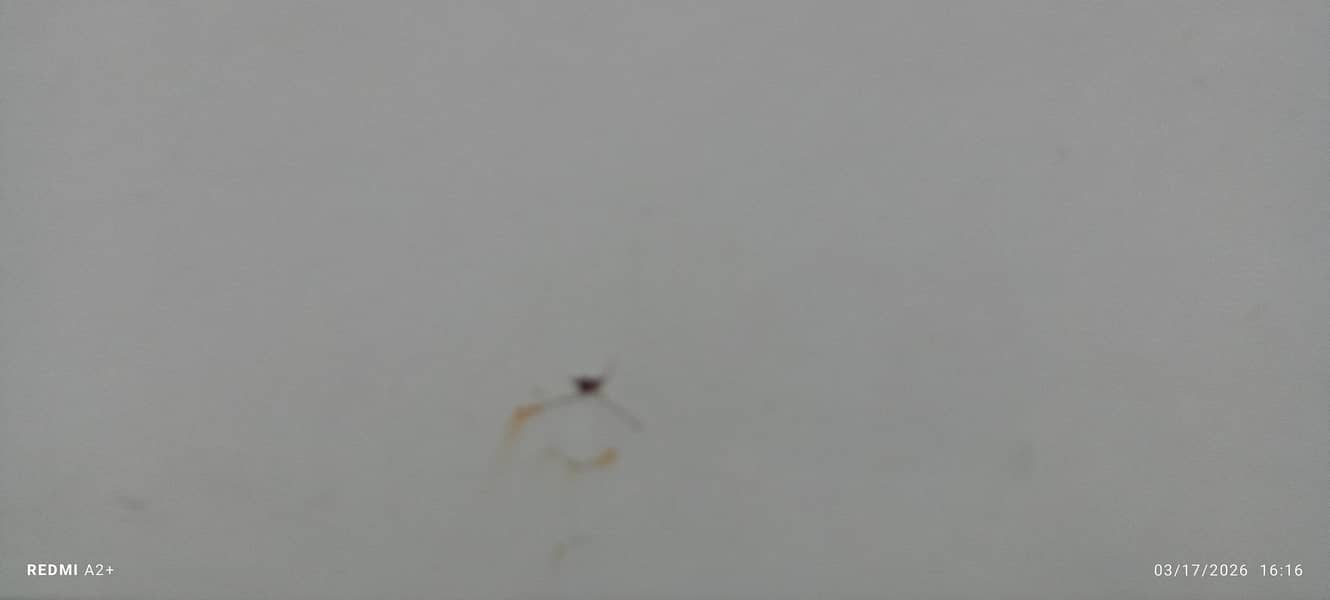 Mehran 1990  91 regt 8