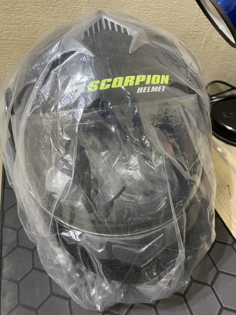 Scorpion Helmet 1