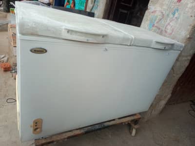 waves deep freezer double door