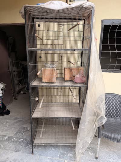 Love Bird Cages 2.5/3