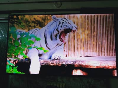 Samsung Smart LED TV