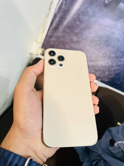 12 Pro max Pta approved