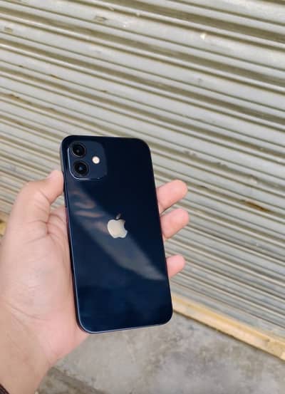IPhone 12 NON pta brand new
