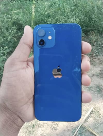 Iphone 12 Pta approved 128gb