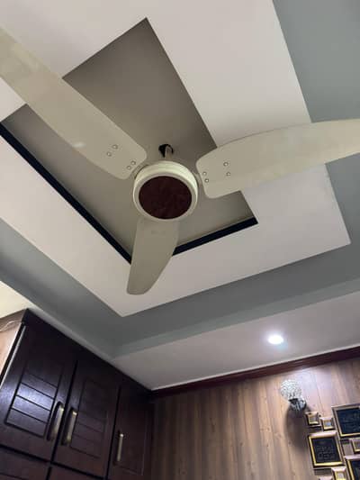 4 fan hai  lifetime  guarantee