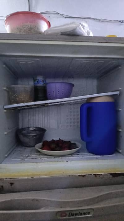 Dowlance Large Size Fridge