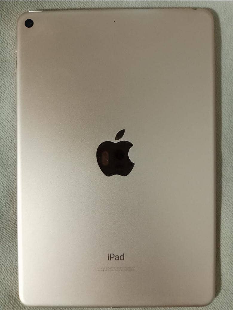 ipad mini 5 0