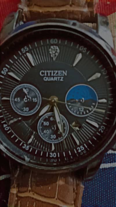 Automatic citizen watch