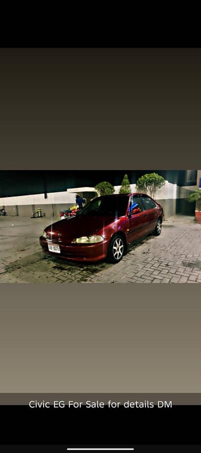 Honda Civic EG Dolphin