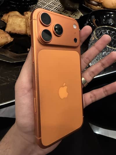 17 pro max 256gb factory