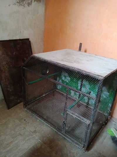 Raw parrot COLONY cage for sale