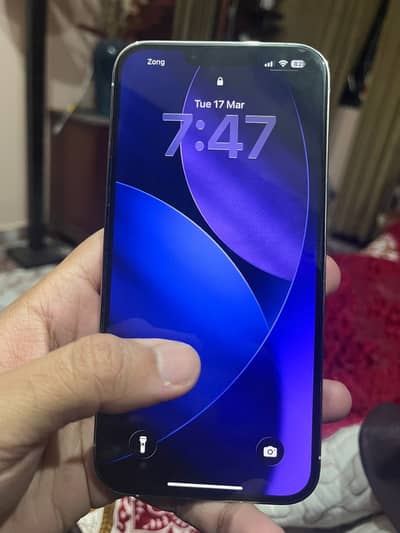 Apple Iphone 13 Pro Max Official PTA