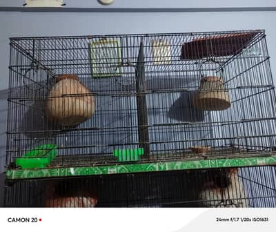 Bird Cage for sale