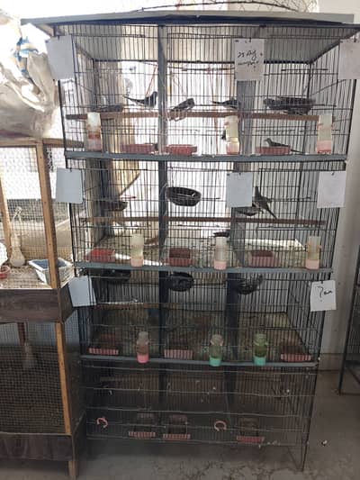 Birds cages available in good condition.