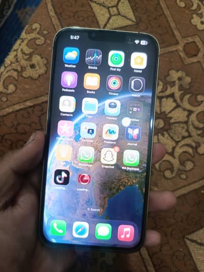 13 pro max panal change