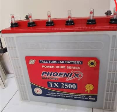 phoenix tall tubular battery 2500