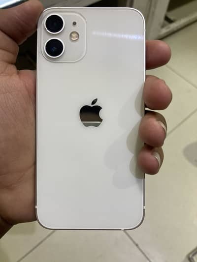 iPhone 12 mini water pack