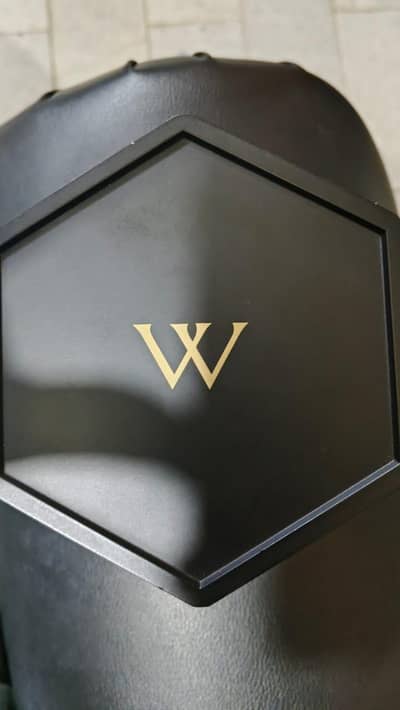 wittnauer Men's Watch