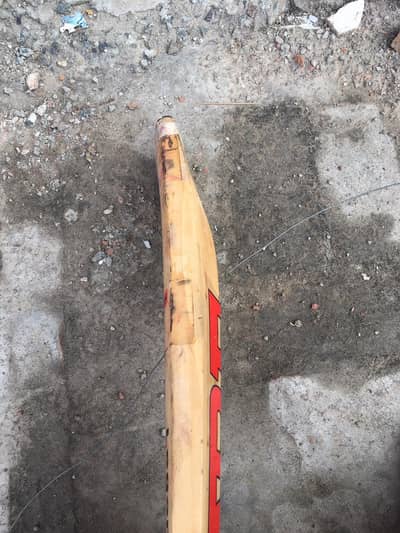 pure English willow cricket bat